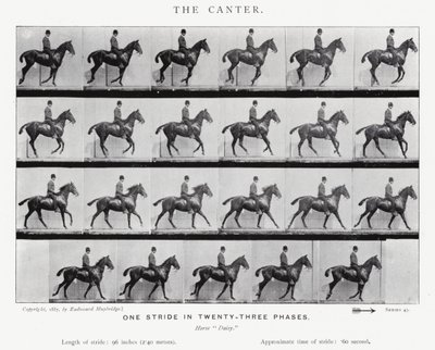 एडरवियर Muybridge: कैंटर द्वारा एडवियर्ड मुयब्रिज