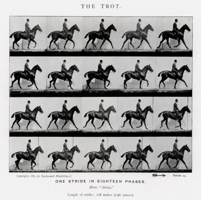 एडरवियर Muybridge: द ट्रॉट द्वारा एडवियर्ड मुयब्रिज