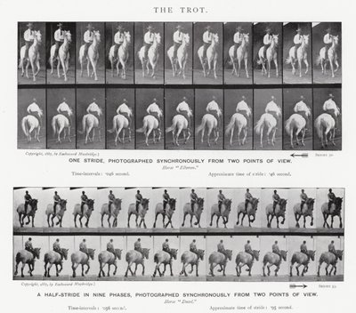 एडरवियर Muybridge: द ट्रॉट द्वारा एडवियर्ड मुयब्रिज