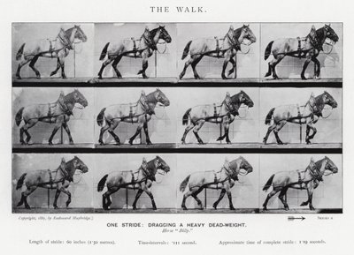 एडरवियर Muybridge: द वॉक द्वारा एडवियर्ड मुयब्रिज