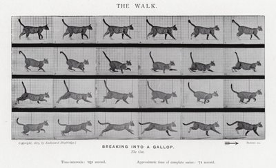 एडरवियर Muybridge: द वॉक द्वारा एडवियर्ड मुयब्रिज