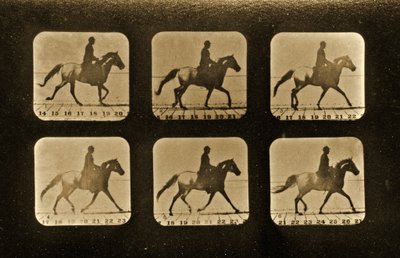 घोड़े। अनियमित, &39;एनिमल लोकोमोशन&39; श्रृंखला, c.1881 द्वारा एडवियर्ड मुयब्रिज