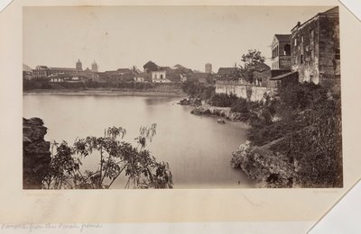  द्वारा एडवियर्ड मुयब्रिज