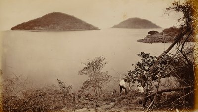  द्वारा एडवियर्ड मुयब्रिज