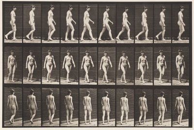 प्लेट 16. चलना, 1872-1885 द्वारा एडवियर्ड मुयब्रिज