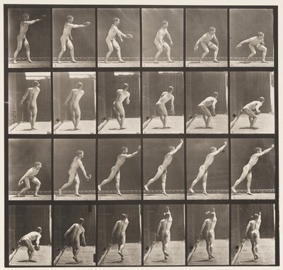 प्लेट 307. एक लोहे की डिस्क को फेंकना, 1872-1885 द्वारा एडवियर्ड मुयब्रिज