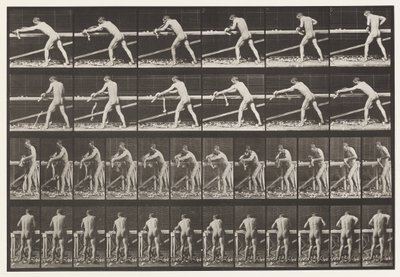 प्लेट 379. बढ़ई, एक बोर्ड की योजना, 1872-1885 द्वारा एडवियर्ड मुयब्रिज