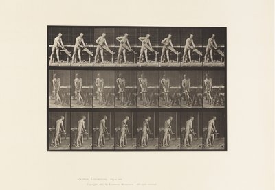 प्लेट 380. बढ़ई, सेविंग, 1872-1885 द्वारा एडवियर्ड मुयब्रिज