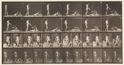 प्लेट 485. दो मॉडल; ए, 10 स्टैंडिंग एंड फिलिंग अ गोबल ;, 1872-1885 द्वारा एडवियर्ड मुयब्रिज