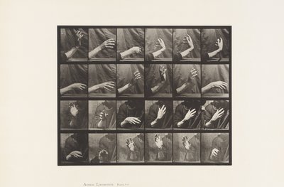 प्लेट 535. हाथ का आंदोलन; बीटिंग टाइम, 1885 द्वारा Eadweard Muybridge