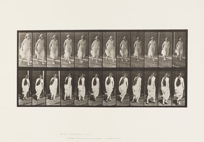 प्लेट 71. आयामी, 1885 द्वारा एडवियर्ड मुयब्रिज
