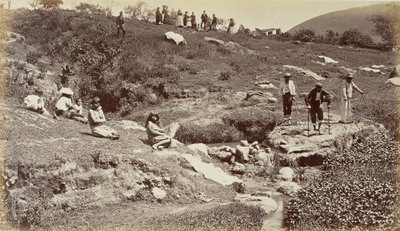  द्वारा एडवियर्ड मुयब्रिज