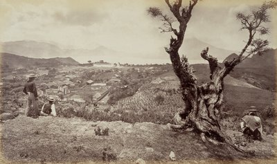  द्वारा एडवियर्ड मुयब्रिज