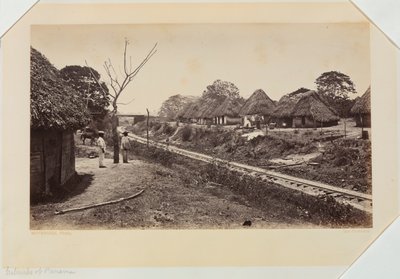  द्वारा एडवियर्ड मुयब्रिज