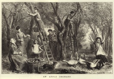एक Apple Orchard द्वारा एबेनेजर न्यूमैन डाउनर्ड