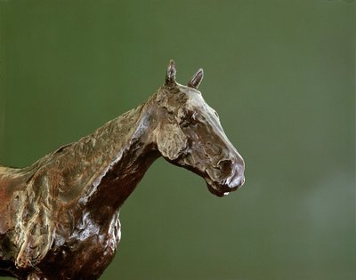 घोड़े का सिर (कांस्य) (335585 का विस्तार) द्वारा Edgar Degas