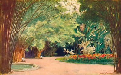एक बांस ग्रोव - बॉटनिकल गार्डन, 1914 द्वारा एडगर एल। पैटीसन
