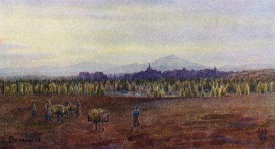  द्वारा एडगर टीए विग्राम