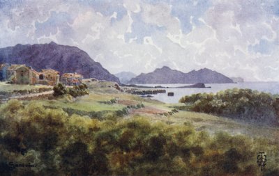  द्वारा एडगर टीए विग्राम