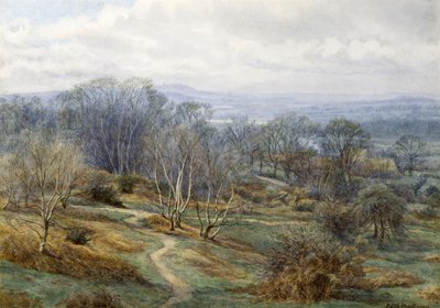 Hampstead हीथ हिल पर हैरो की तलाश में, c.1880 (कागज पर wc) द्वारा एडिथ मार्टिनो