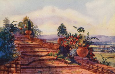  द्वारा एडिथ स्ट्रुबेन