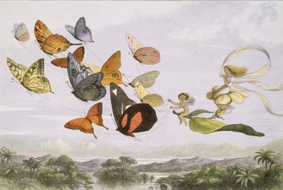 इन फेयरीलैंड: ए सीरीज़ ऑफ़ पिक्चर्स फ्रॉम द एल्फ-वर्ल्ड, 1870। द्वारा एडमंड इवांस