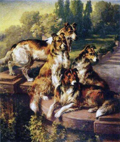 collies द्वारा एडमंड हेनरी ओस्टहॉस