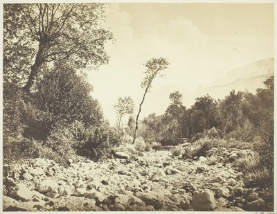 वोरपे डौफिन, सी। 1855. द्वारा एडवर्ड बाल्डस