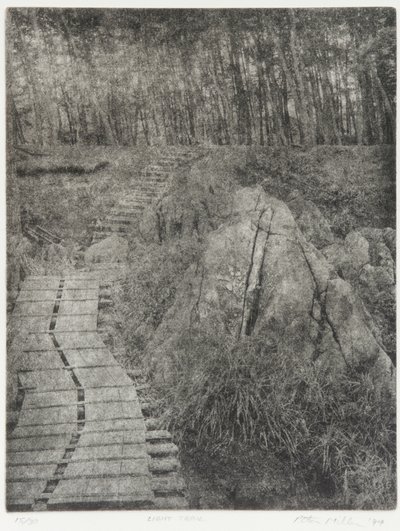 लाइट ट्रेल, 1994 द्वारा एडोर्ड क्रेमीक्स