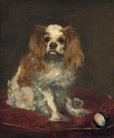 ए किंग चार्ल्स स्पैनियल, c.1866 (लिनन पर तेल) द्वारा एडोर्ड मैनेट