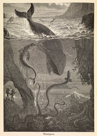  द्वारा Edouard & Neuville Alphonse-Marie-Adolphe de (1835-85) Riou