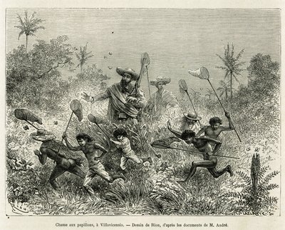 1875-1876 में एड द्वारा इक्विनोक्सिअल अमेरिका (कोलंबिया, इक्वाडोर, पेरू) की कहानी को चित्रित करने के लिए, लेखक, विलाविसेंसियो (कोलंबिया), रियो द्वारा चित्रित, तितलियों के लिए शिकार करने वाले बच्चों के एक गिरोह के साथ। आंद्रे, F . द्वारा मिशन के प्रभारी यात द्वारा एडौर्ड रिउ