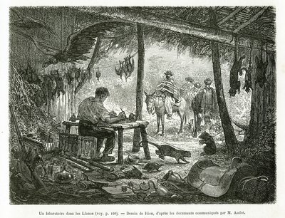 1875-1876 में एड द्वारा इक्विनोक्सियल अमेरिका (कोलंबिया, इक्वाडोर, पेरू) की कहानी को चित्रित करने के लिए, रियो द्वारा चित्रित, ललनोस (कोलंबिया) के क्षेत्र में कुंवारी जंगल में एक टैक्सिडेरमी प्रयोगशाला। आंद्रे, फ्रांसीसी सरकार द्वारा यात्री मिशन प्रभार। एं द्वारा एडौर्ड रिउ