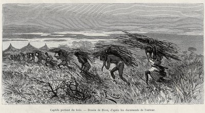 झाड़ी में लकड़ी ले जाते कैदी। 1887-1889 में कैप्टन लुई गुस्ताव बिंगर (1856-1936) द्वारा "नाइजर से गिनी की खाड़ी तक" कहानी को चित्रित करने के लिए रिओ द्वारा उत्कीर्णन, ले टूर डू मोंडे, नोव्यू जर्नल डेस वॉयेज, निर्देशन के तहत एडौरा के द्वारा एडौर्ड रिउ