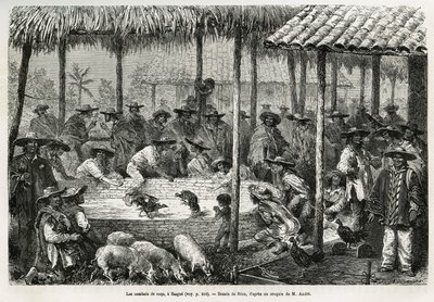 1875-1876 में एड द्वारा इक्विनोक्सियल अमेरिका (कोलंबिया, इक्वाडोर, पेरू) की कहानी को चित्रित करने के लिए रियो द्वारा ड्राइंग, इबाग (कोलंबिया) में कॉकफाइटिंग और स्ट्रीट एनीमेशन। आंद्रे, फ्रांसीसी सरकार द्वारा यात्री मिशन प्रभार। ले टूर डू मोंडे में उत्कीर्ण द्वारा एडौर्ड रिउ