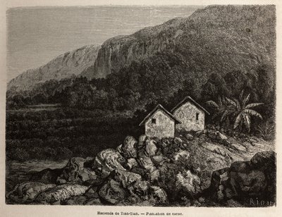 1848 से 1860 तक दक्षिण अमेरिका के माध्यम से पॉल मार्कॉय की यात्रा को चित्रित करने के लिए, तियान तियान, पेरू और कोको प्लांटेशन द्वारा हाशिंडा, रिओ द्वारा चित्रित। एडौर्ड चार्टन द्वारा संपादित "" ले टूर डु मोंडे" में उत्कीर्णन द्वारा एडौर्ड रिउ