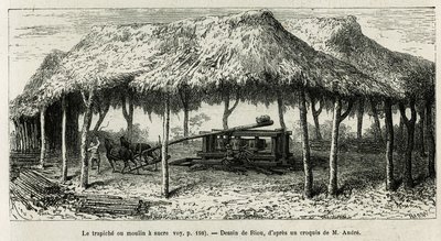 1875-1876 में एड द्वारा इक्विनोक्सियल अमेरिका (कोलंबिया, इक्वाडोर, पेरू) की कहानी को चित्रित करने के लिए, रियो द्वारा चित्रित, पंचे (कोलंबिया) में बेंत पीसने के लिए ट्रेपिच, या चीनी मिल। आंद्रे, फ्रांसीसी सरकार द्वारा यात्री मिशन प्रभार। ले टी में उत्कीर्ण द्वारा एडौर्ड रिउ