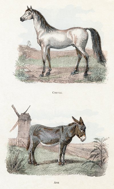  द्वारा एडौर्ड ट्रैविस