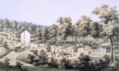 स्ट्रिब्लिंग स्प्रिंग्स, स्पा विलेज, ऑगस्टा कंट्री, 1858 द्वारा एडवर्ड बेयर