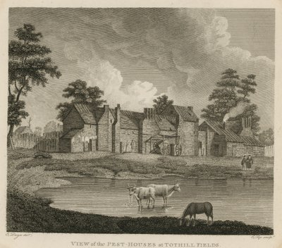Tothill फील्ड्स, लंदन में कीट घरों का दृश्य द्वारा एडवर्ड डेस