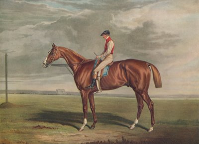 वेलोसिपेड, सेंट लीगर के विजेता, 1828, c1828, 1929 द्वारा एडवर्ड डंकन