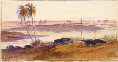 एल होन, मिस्र, 1884 द्वारा एडवर्ड लीयर