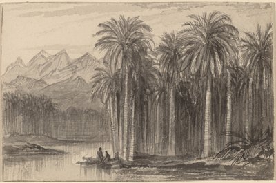 एक पाम ग्रोव वाडी फीरान, 18841885 से कैनो में बाहर निकलने वाले आंकड़े। द्वारा एडवर्ड लीयर