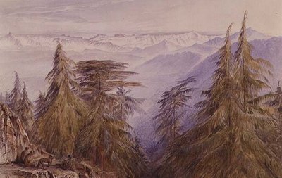 उत्तर भारत के शिमला के पास एक चट्टान पर बंदर द्वारा एडवर्ड लीयर