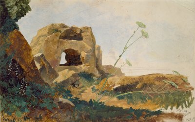 चट्टानों और पर्णसमूह का अध्ययन, एग्रीजेंटो गिरगेंटी, सिसिली, 1847 द्वारा एडवर्ड लीयर