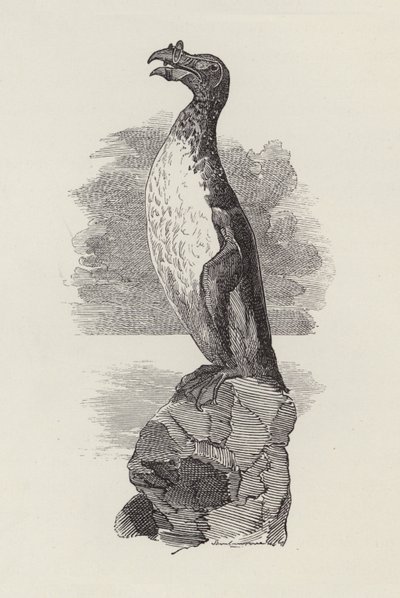 चार्ल्स किंग्सले द्वारा जल-शिशुओं के लिए चित्रण (उत्कीर्णन) द्वारा एडवर्ड लिनली (बाद में) सैम्बोर्न