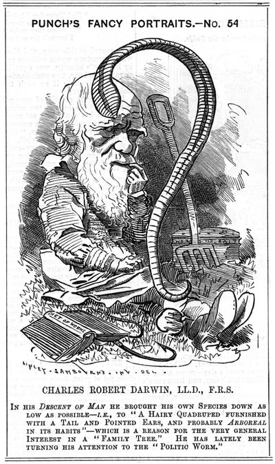 चार्ल्स डार्विन (1809-1882) अंग्रेजी प्रकृतिवादी। प्राकृतिक चयन द्वारा विकास। पंच, लंदन में फैंसी पोर्ट्रेट श्रृंखला में एडवर्ड लिनले सैमबोर्न (1844-1910) द्वारा कार्टून, 1881, जिस वर्ष डार्विन ने एक्शन के माध्यम से द फॉर्मेशन ऑफ वेजिटेबल मोल्ड प्रकाशित कि द्वारा एडवर्ड लिनली साम्बूरने