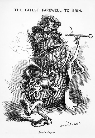 नवीनतम पंच से एरिन, &39;पंच&39; से, c.1880 द्वारा एडवर्ड लिनली साम्बूरने