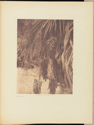 द्वारा एडवर्ड एस कर्टिस
