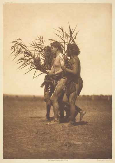 अरिकारा मेडिसिन सेरेमनी - द डक, 1908। द्वारा एडवर्ड शेरिफ कर्टिस